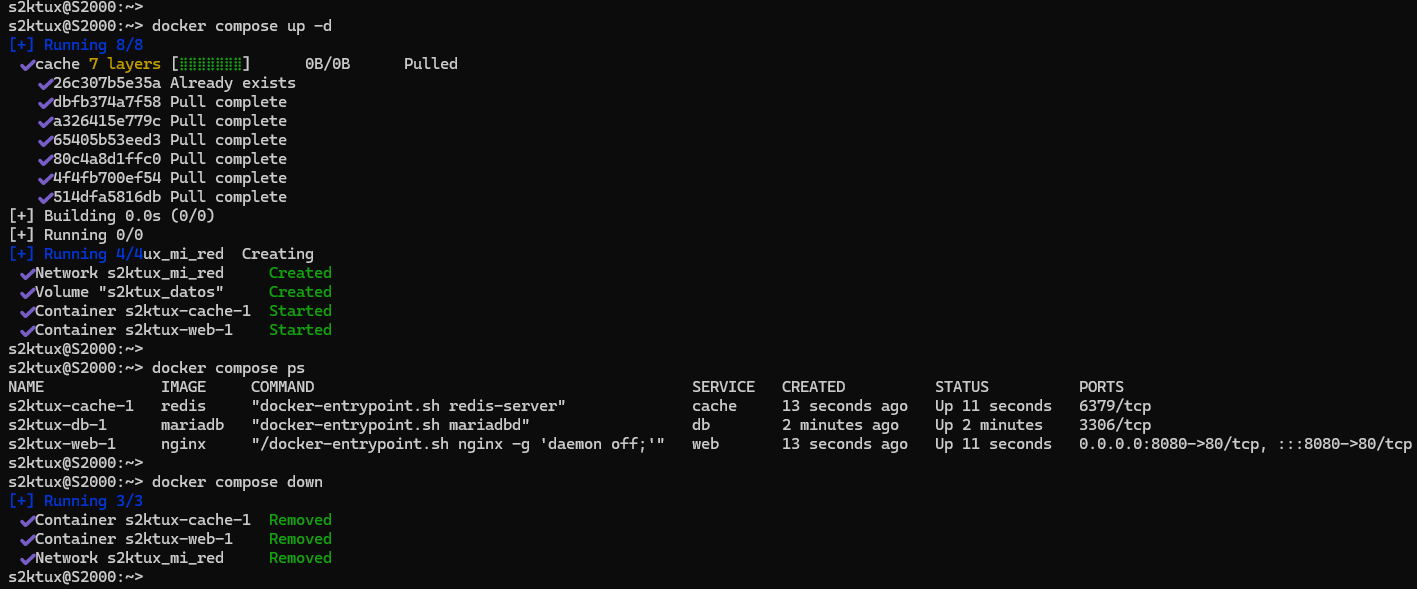Compose levantando los servicios con su red y volumen