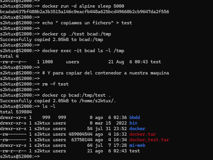 docker cp entre host y contenedor