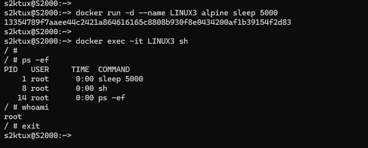 docker exec en un contenedor vivo