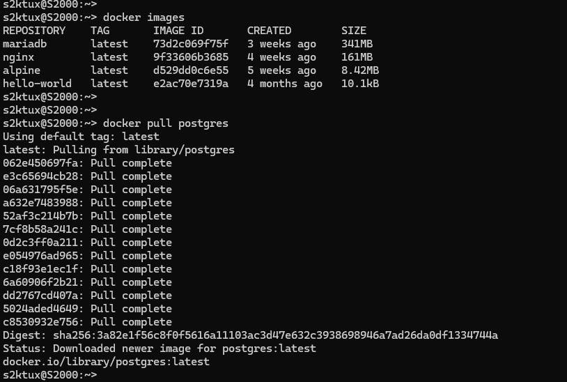 docker pull e images