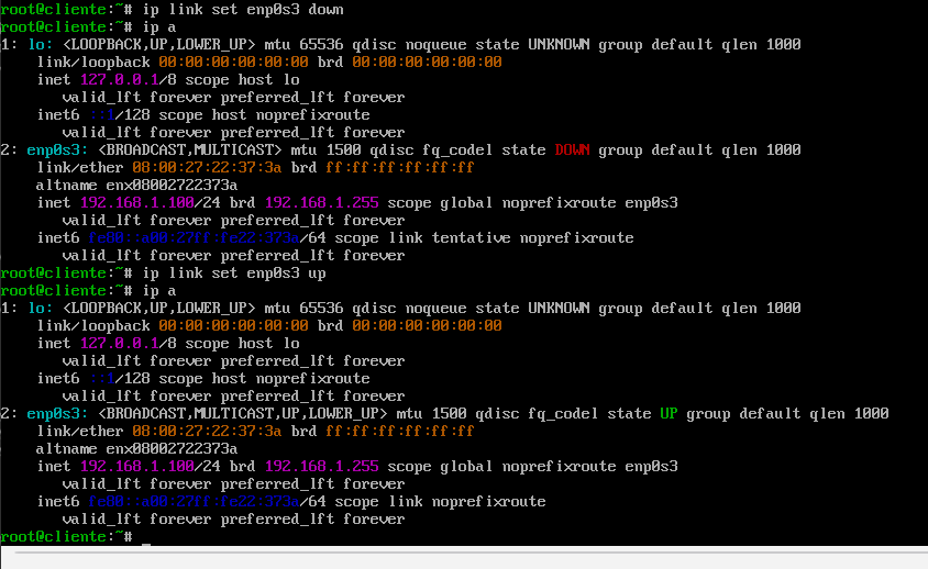 ip basic ejemplo