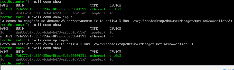 nmcli basic ejemplo