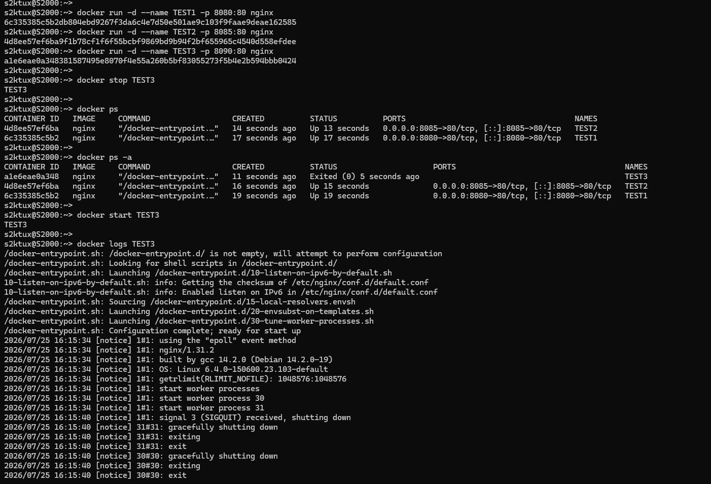 docker ps y logs