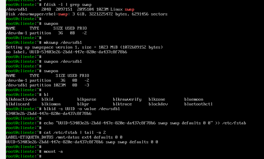 Creación, activación y persistencia de un archivo swap